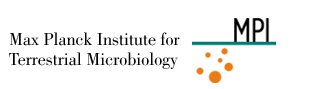 Logo of Max-Planck-Institute for Terrestrial Microbiology