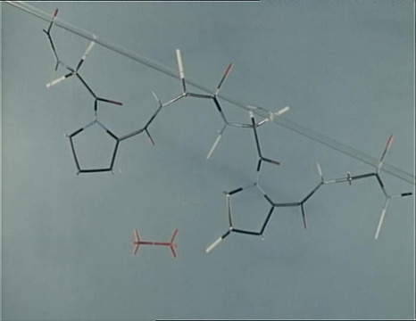 DNA Molekül Modellbausatz